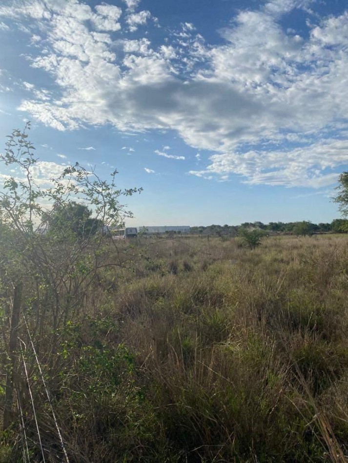 TERRENO EN VENTA camino a capilla los remedios
